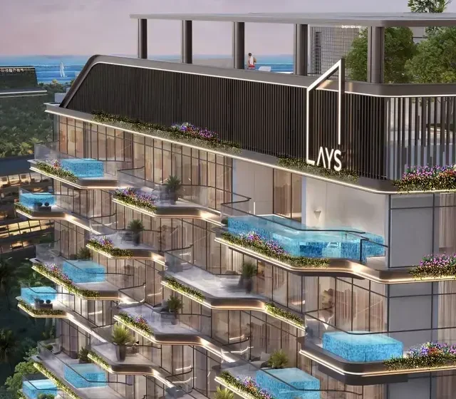 Dubai ays developer